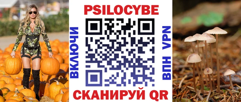 Псилоцибиновые грибы Cubensis  Бакал 