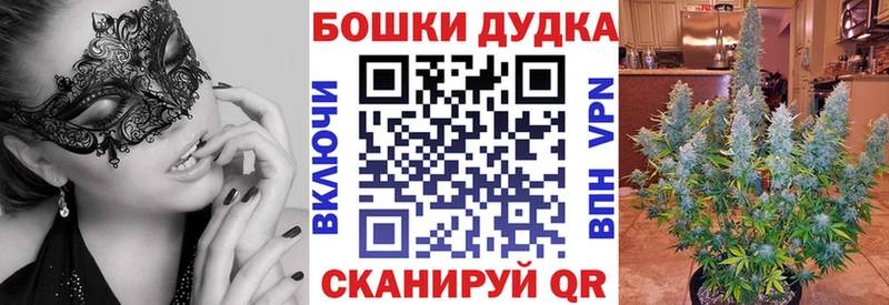 закладки  блэк спрут как зайти  мориарти формула  Бакал  Бошки марихуана план 